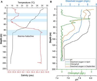 Metagenomic 18S rDNA reads revealed zonation of eukaryotic communities in the Yongle blue hole